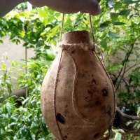'Labu Ketaya' - an ancient Eco-friendly method for storing  drinking water.
