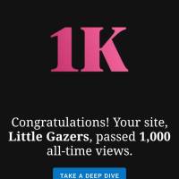 1K Views ! Thank you for the wordpress reader community. You have been encouraging littlegazers !